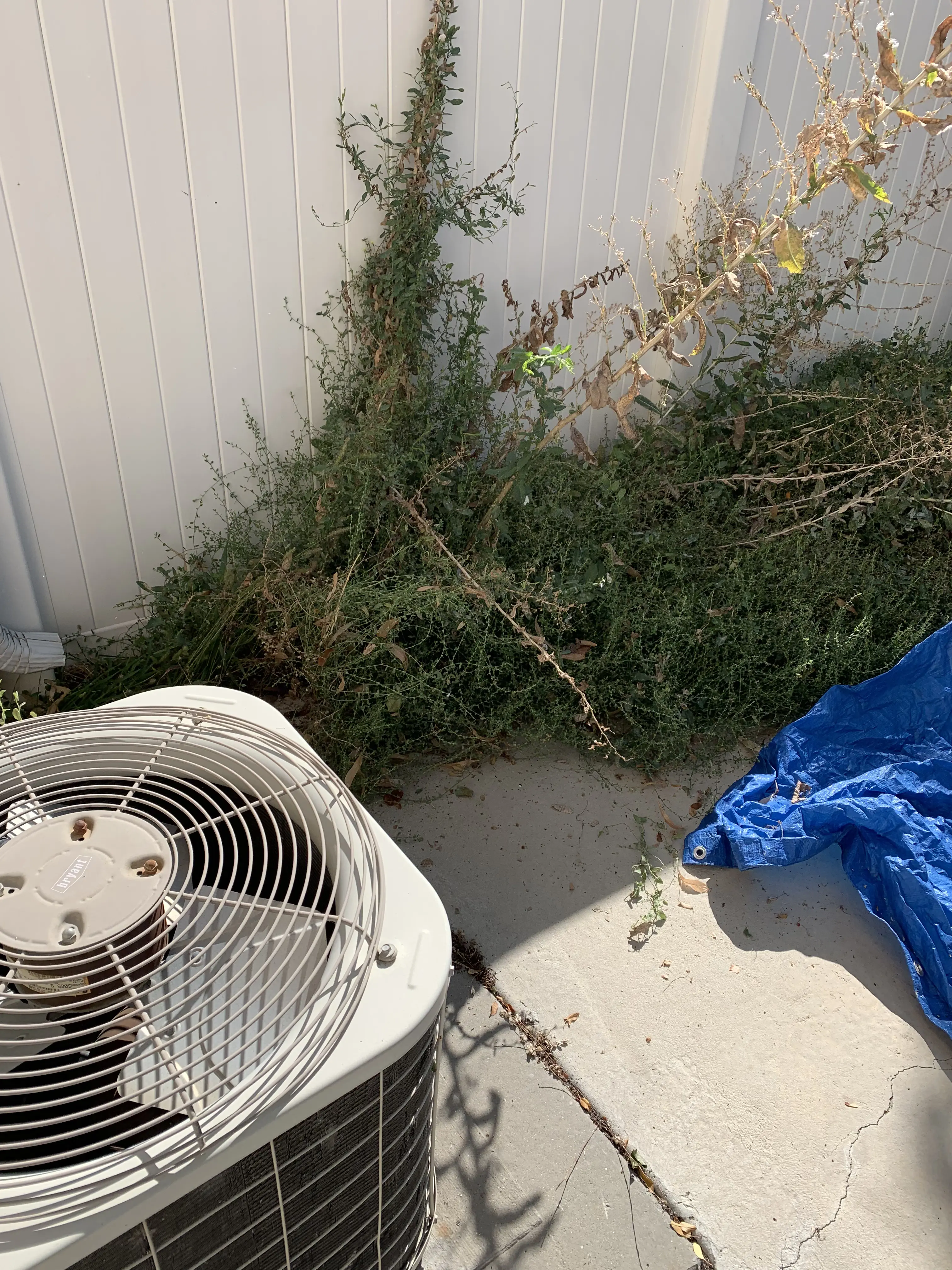 Weeds growing along a vinyl fence beside an AC unit before a ModJobs yard cleanup in Utah